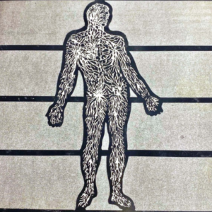 The Anatomy Of BioMagnestism - Albert Roy Davis