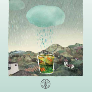 Captación y Almacenamiento De Agua De Lluvia - FAO y FIDA