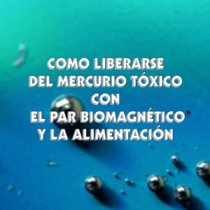 Como Liberarse Del Mercurio Con El Par Biomagnético - Pedro Ochoa